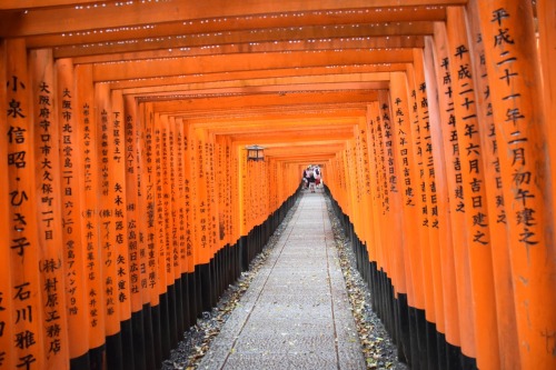 Fushimi Inari