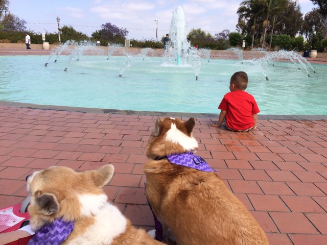 fairy-moon-and-twinkling-star-sundays-at-balboa-park