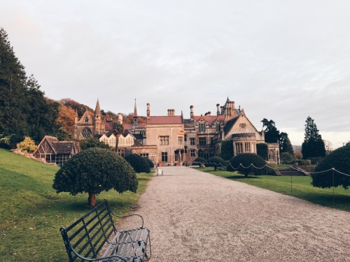 travels-ofadreamer:Wintery sunsets, Tyntesfield