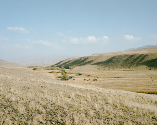 matthieulitt:Steppe and mountains - 2015