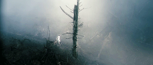 tumblr_nan7cbIb6k1qij8uso4_500.gif