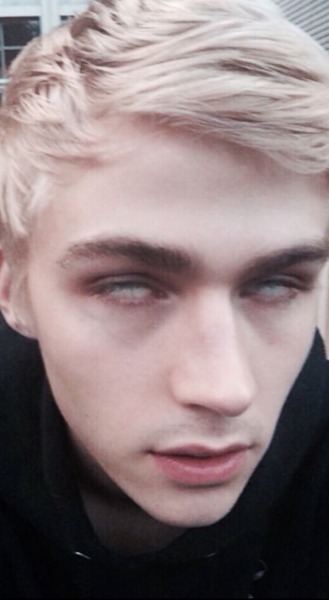 Next photo of Miles Heizer