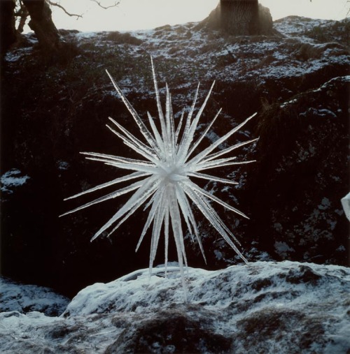 apeninacoquinete:Andy Goldsworthy, Ice Star and Ice Sphere,...