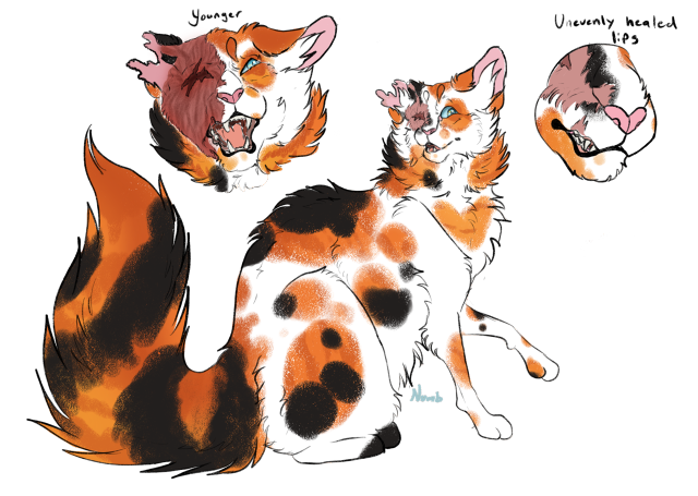 warrior cats designs on Tumblr