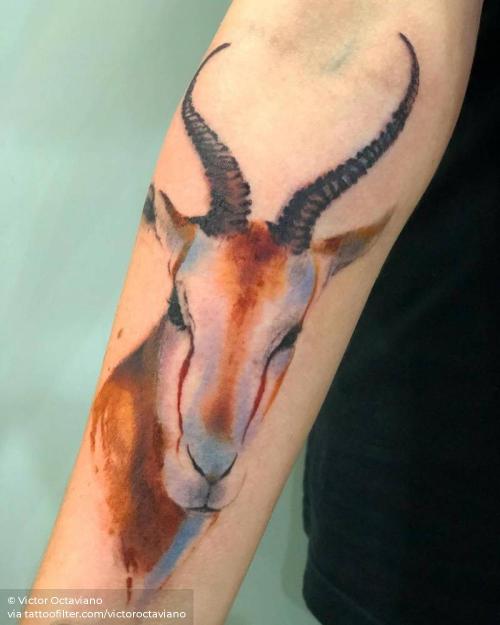 By Victor Octaviano, done in Santo André. http://ttoo.co/p/35122 animal;antelope;big;facebook;inner forearm;springbok;twitter;victoroctaviano;watercolor