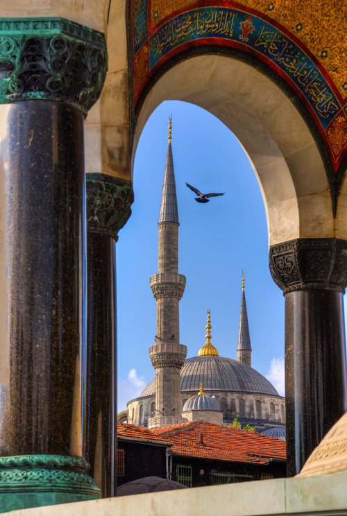 beautifulklicks:View of the Blue Mosque through the arches of...