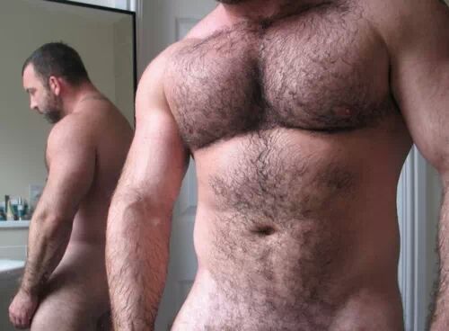 Hot bears,cubs n everything in between