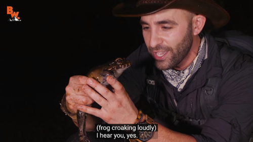 hitamory-dead-blog:All you need to know about coyote peterson...