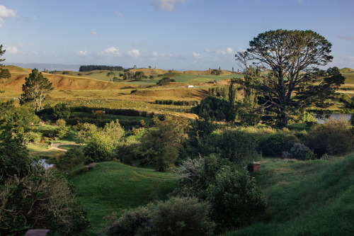 living-inbetween:Hobbiton, Matamata, New Zealand.