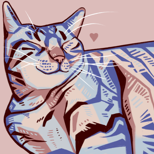 i drew my kitty cat