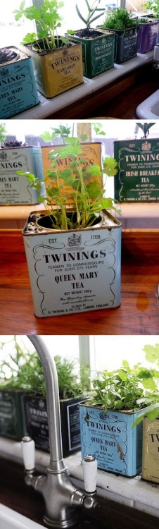 diy recycle upcycle tea tea tin tin savetheplanet earth garbage stopwasting