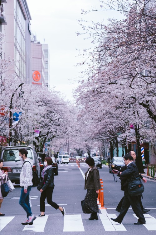 sleeplessintokyo87