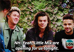 one mix little mix one direction <3333 my two faves still can& 039;t believe this happened amf lm gif 1d gif 1de * lmedit my gifs