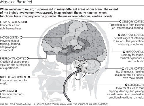 brain-and-music
