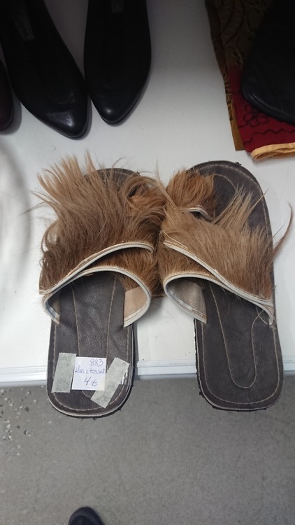 shiftythrifting