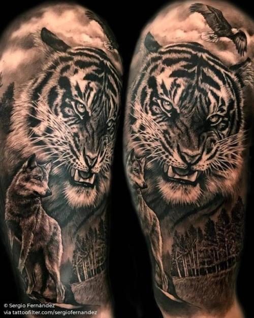Tattoo tagged with: black and grey, tiger, feline, big, animal, eagle,  bird, sergiofernandez, facebook, twitter, shoulder, wolf, upper arm |  
