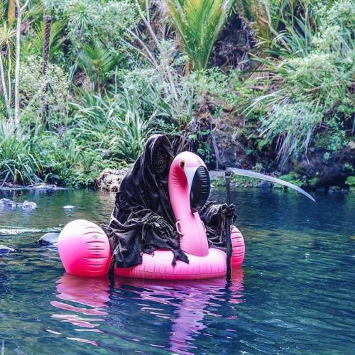 archiemcphee:Meet The Swim Reaper, death taking an extended...