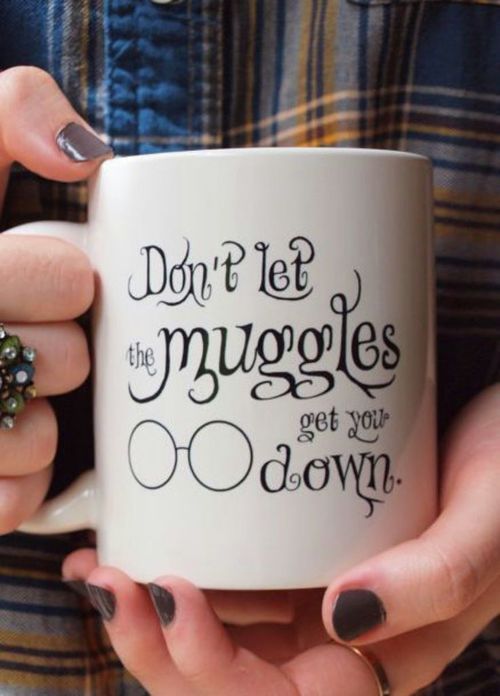 don't let the muggles get you down on Tumblr