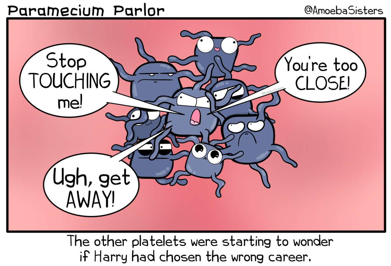 The Amoeba Sisters — To celebrate our new mitosis video, we made a...