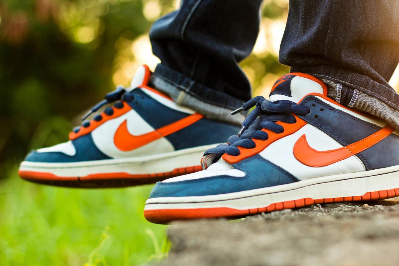 nike sb bronco