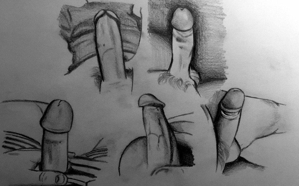 Porn Penis Drawings - Vintage Gay Penis Drawing | Gay Fetish XXX