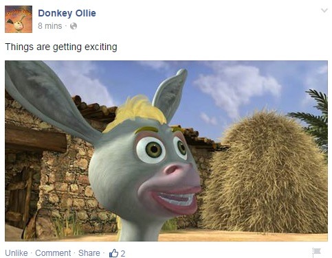 Image result for donkey ollie meme