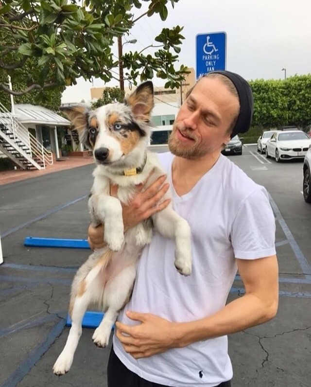 Actors & Pups — Charlie Hunnam