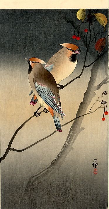 cafeinevitable:
“ Japanese Waxwings with Berries by Ohara Koson
painting
”