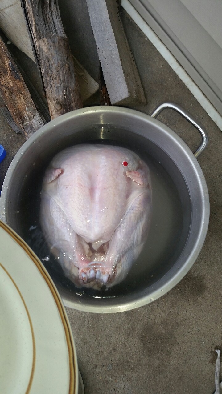 Brined, Deep Fried Turkey. Turkey (17 lbs.),... Recipes