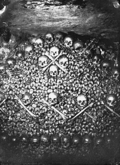 nadar photographic report in the catacombs of paris early photography black and white paris prints catacombs magictransistor alejandromerola 1861