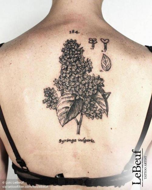 By Loïc LeBeuf, done at Grotesque Tattooing, Carouge.... flower;scientific illustration;lilac;loiclebeuf;big;science;facebook;nature;blackwork;upper back;twitter;engraving