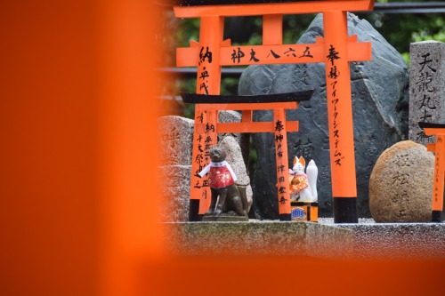 Fushimi Inari