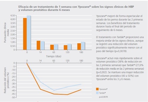 metaplasia escamosa prostata perro