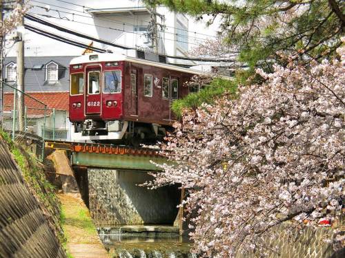 japaniam:#阪急電車　と#桜　のコラボでおはようございます*今日は予報通り雨☔*さて、何しよう*#はな...