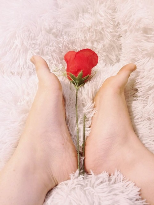 Feet, fluff, and flower! ❤️