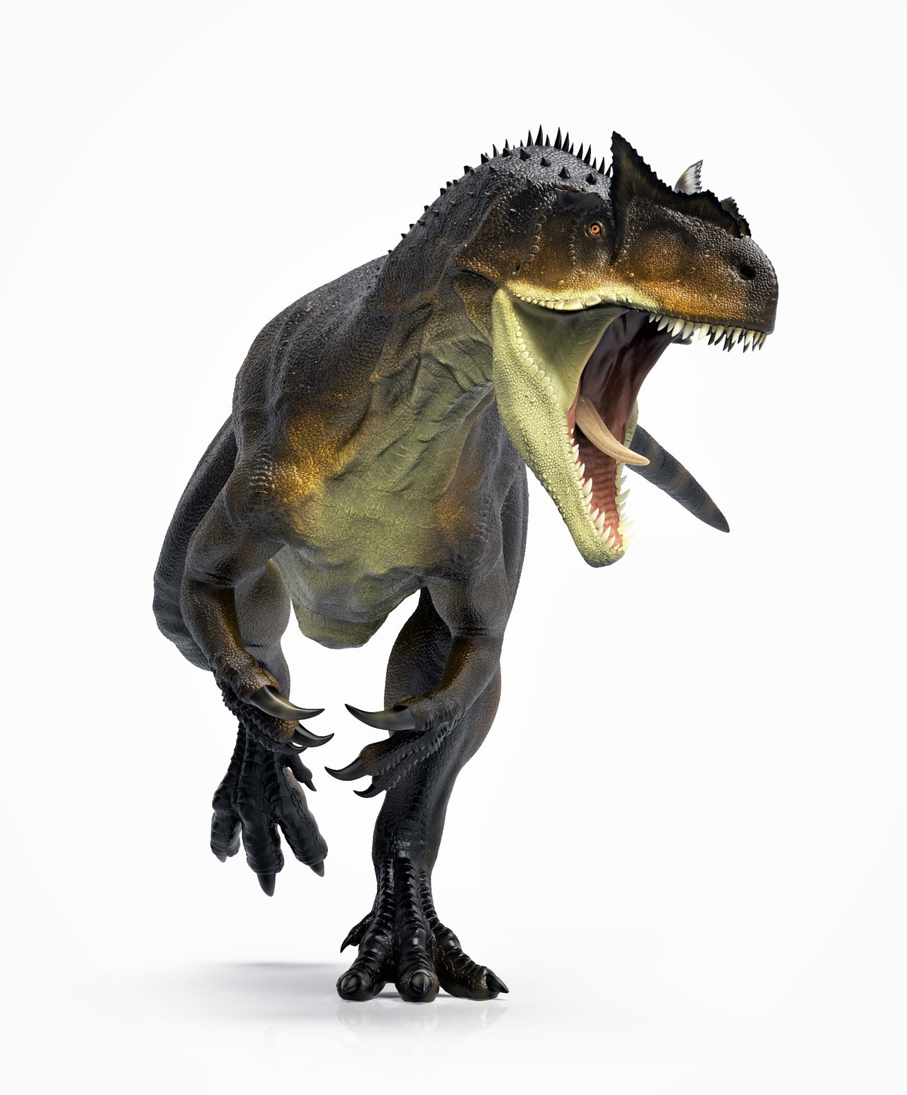 feathered allosaurus