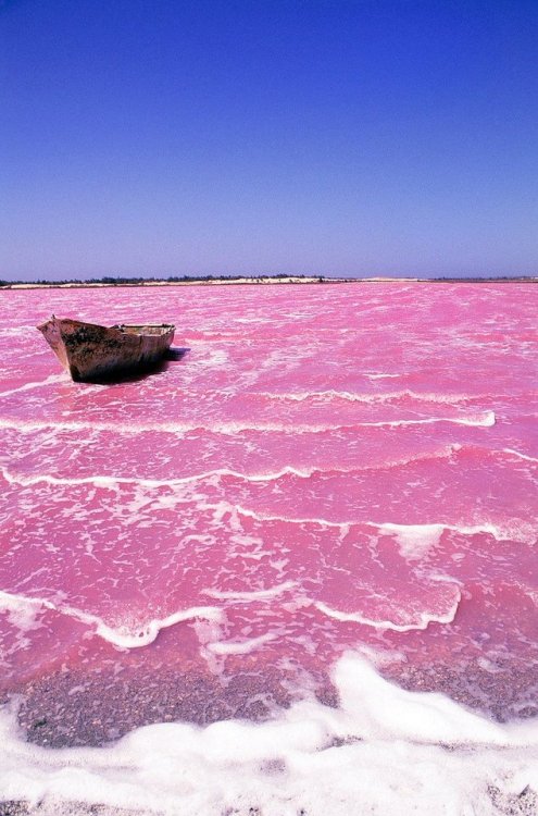 jeflondon:Lake Retba, Senegal