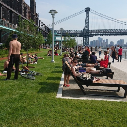 Domino Park. Bklyn