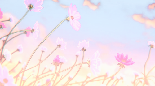 floral header | Tumblr