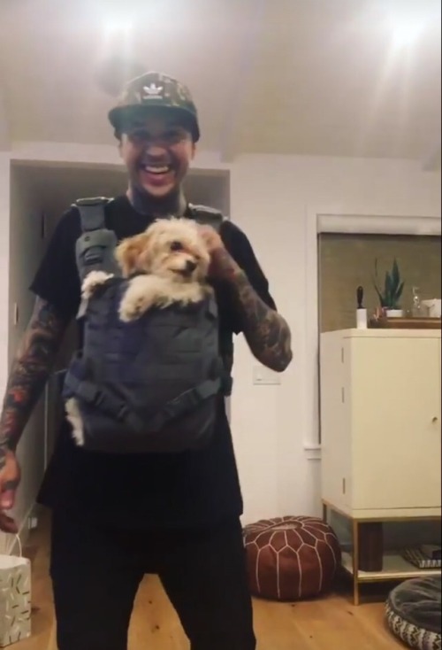 tony perry ptv Vic Fuentes jaime preciado mike fuentes doug the dog erin aschow