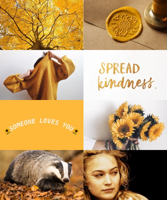 Helga Hufflepuff – Aesthetic – furyofthephoenix