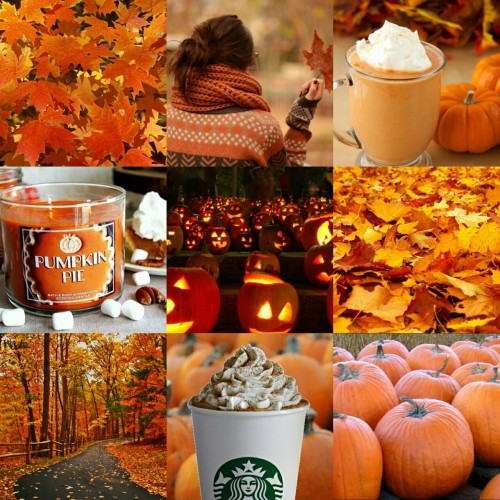 Image result for tumblr fall pics