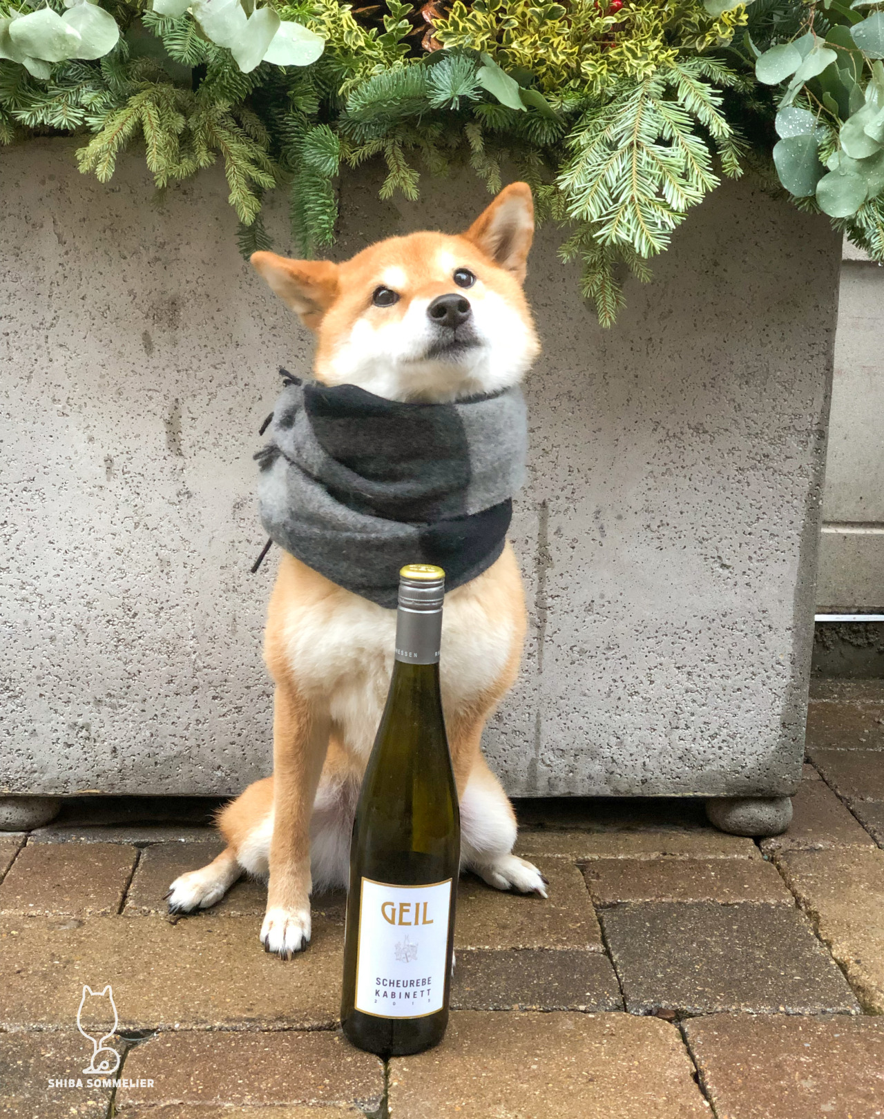 Shiba Sommelier 2015 Weingut Oekonomierat J Geil
