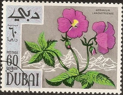 stamp-it-to-me:two 1968 Dubai stamps from a series on flowers