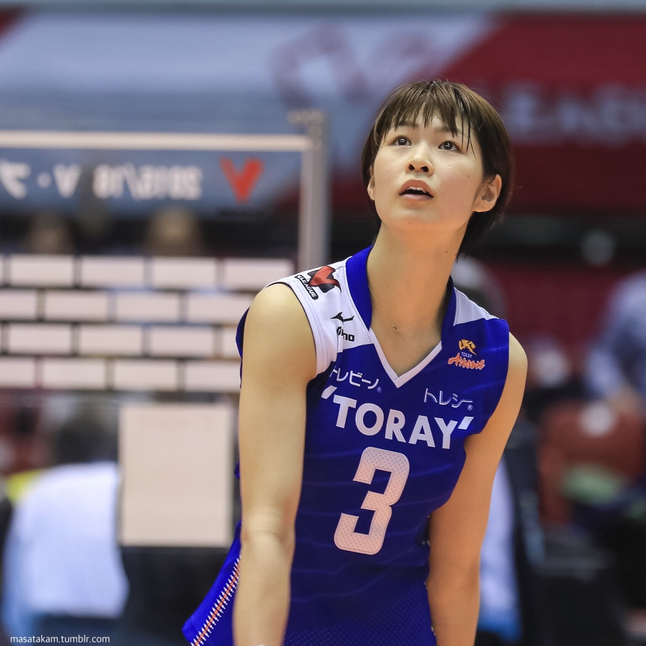 In the Lightroom - #木村沙織 #東レアローズ #vpremierleague #volleyball...