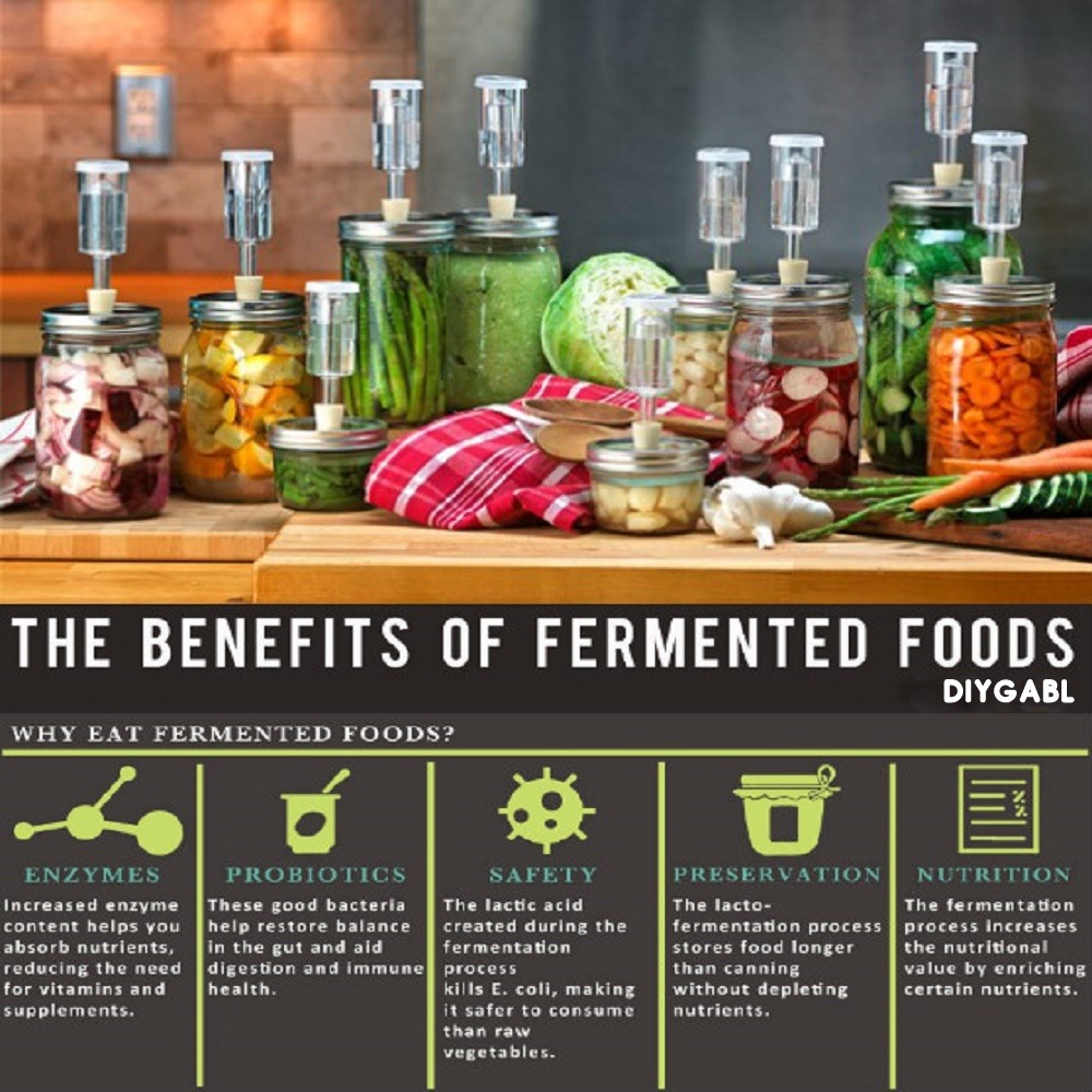 HEALTH BENEFITS OF FERMENTED FOODS AND HOW TO... - DIY Gardening ...