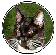 warrior cats new prophecy game warrior cats new prophecy game