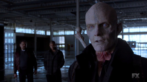 the strain on Tumblr