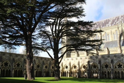 A few snaps from my visit to Salisbury Cathedral in the fair...