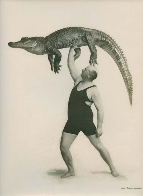 Captain Wall and crocodile. France, circa 1940 | source